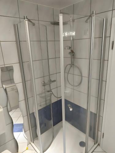 a glass shower in a bathroom with a toilet at Ferienwohnung im Rotkäpchenland in Schwalmstadt