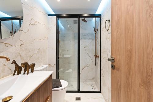 a bathroom with a shower and a toilet at Ιπποθόη in Meganisi
