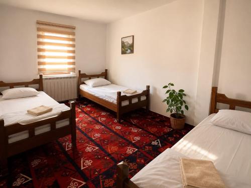 ein Zimmer mit zwei Betten und einer Topfpflanze in der Unterkunft Sunset Hotel in Plav