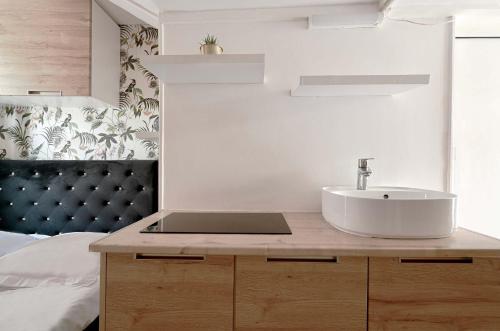 Petit studio Parisien - Quartier arais