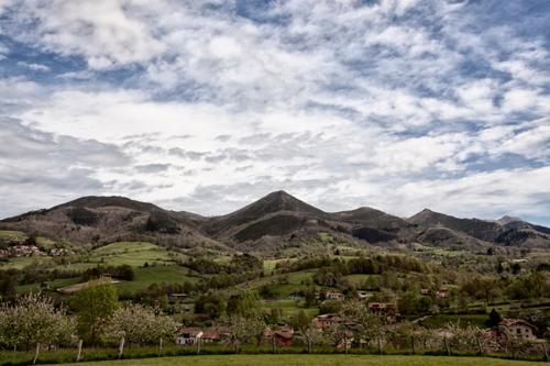 a green hillside with mountains in the background at Hotel & Spa Villa de Mestas in Cangas de Onís