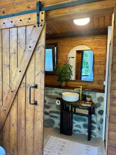 a bathroom with a wooden door with a sink at The Heaven Sibiu in Sebeşu de Sus