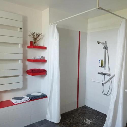 a bathroom with a shower with a shower curtain at Chalet La Bachole - Chambre d'hôtes in Charancieu