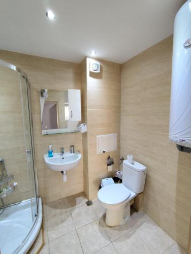 a bathroom with a toilet and a sink and a shower at Charming Apartment with balcony in Vidin