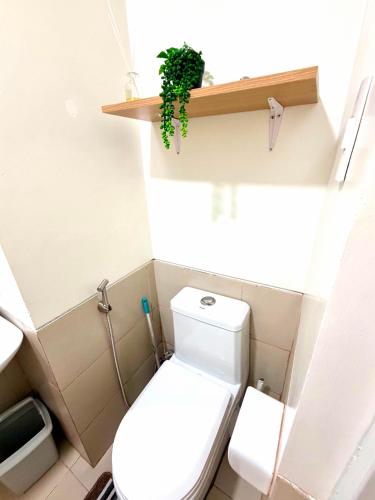 a small bathroom with a toilet and a plant on the wall at Camella Northpoint condominium in Davao City