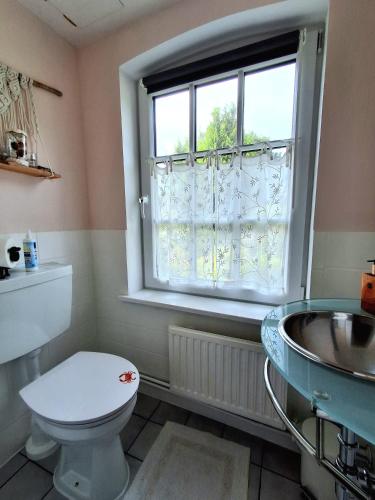 a bathroom with a toilet and a sink and a window at Altes Landhaus in Behrendorf