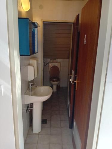 a small bathroom with a sink and a toilet at Planinski dom Hermanov Hram in Log pod Mangartom
