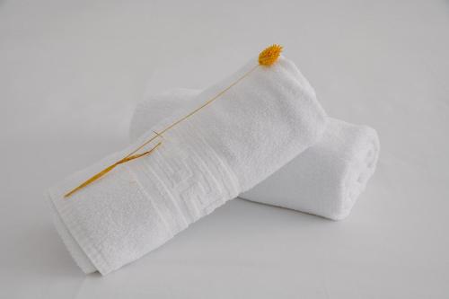 eine weiße Rolle Toilettenpapier mit einem Faden in der Unterkunft Hotel Terranova in Pas de la Casa