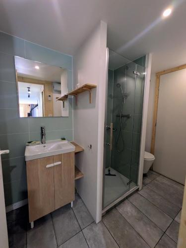 a bathroom with a sink and a shower at Nice chaleett in mountains in Saint-Martin-de-Belleville