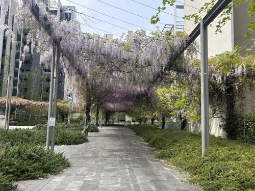 G2 Garden Retreat - CityLife