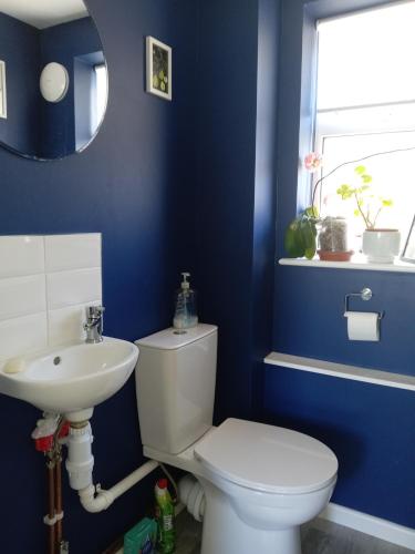 a blue bathroom with a toilet and a sink at Sawston Village in Sawston