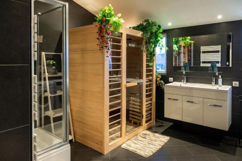 a bathroom with a sink and a toilet and a shower at Slapen bij Ticho in Yerseke