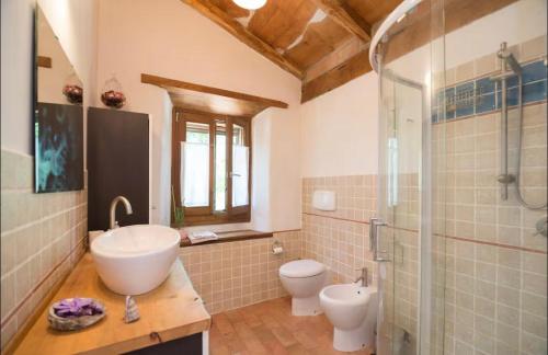 a bathroom with a sink and a toilet and a shower at Stonehouse LOFT MARTA in Vergato