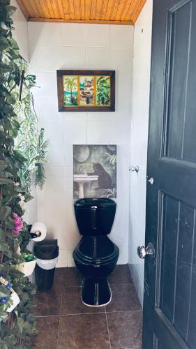 a bathroom with a black toilet and a picture on the wall at GatoPardo in Montenegro