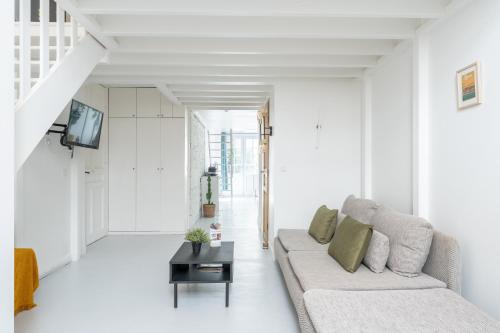 Urban White - loft lumineux avec terrasse
