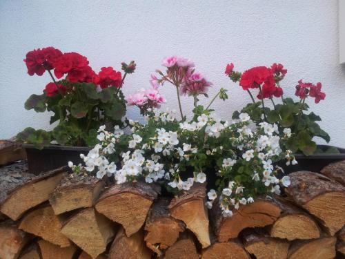 a bunch of flowers sitting on top of a stone wall at Apartments Biobauernhof Lercher in Sankt Jakob in Defereggen