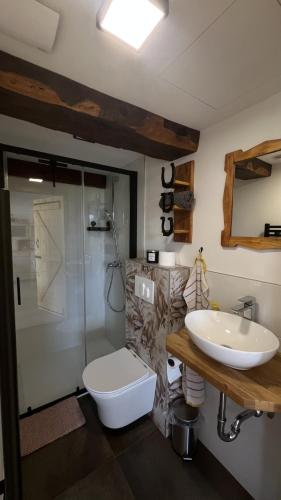 a bathroom with a toilet and a sink and a shower at Castle view Chalet - ZemvaStays in Zgornje Gorje
