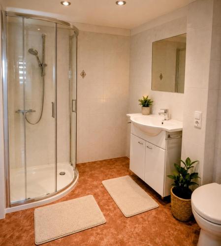 a bathroom with a shower and a sink and a toilet at GADD Ferienwohnung 004 Glück an der Donau I Best Prestige Stay 24 h Check-In in Straubing
