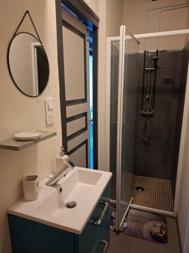 a bathroom with a sink and a shower at Gite du Canal in Gannay-sur-Loire