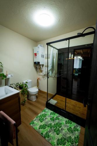 ein Badezimmer mit Dusche, Toilette und Teppich in der Unterkunft Rose Romantic in Tărlungeni