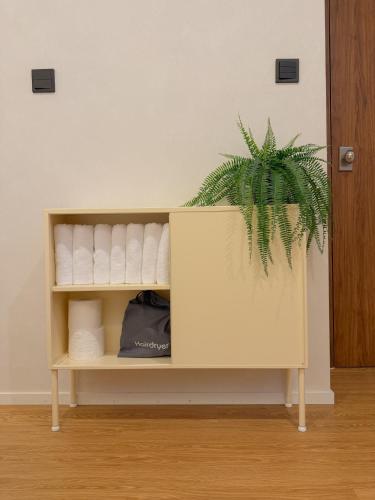 a shelf with a potted plant on top of it at 무무 mumu in Seoul