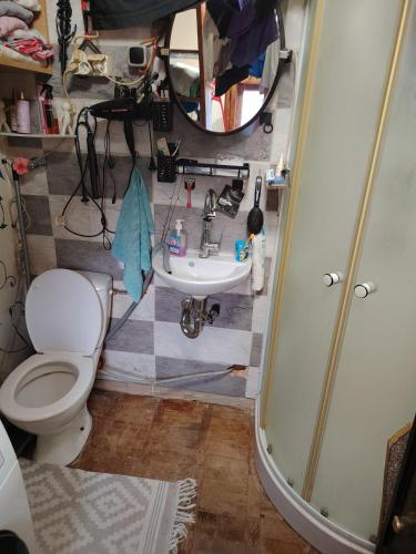a bathroom with a toilet and a sink at Chata u Emi a Ivana in Tajov