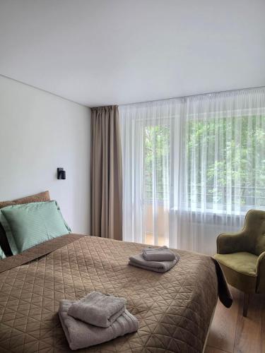 a bedroom with a bed and a chair and a window at Central Apartament in Telšiai