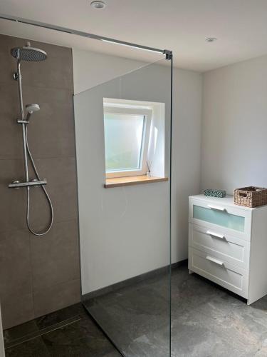 a bathroom with a shower with a glass door at Landliebe Wemb in Weeze