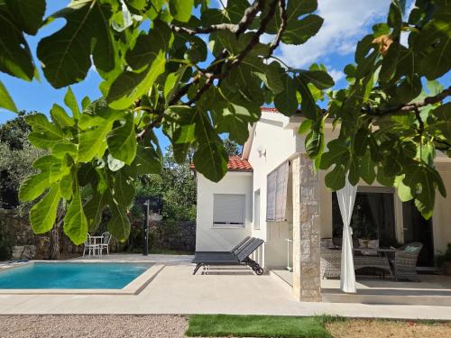 a villa with a swimming pool and a house at Villa Nevera in Omišalj