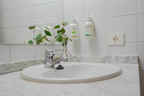 a bathroom sink with a plant on top of it at Hotel Marqués de la Moral in Naveces