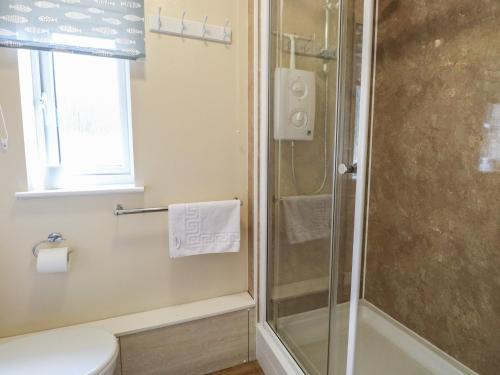 a bathroom with a shower and a toilet at 15 The Dell in Norwich