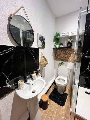 a bathroom with a sink and a toilet and a mirror at Refuge champêtre in Champagnole