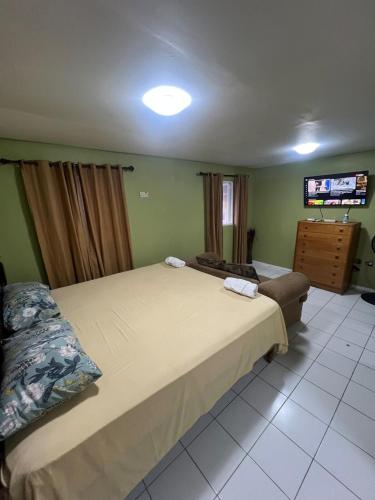 a bedroom with two beds and a flat screen tv at Grand One Bedroom Studio Apt in Kingston