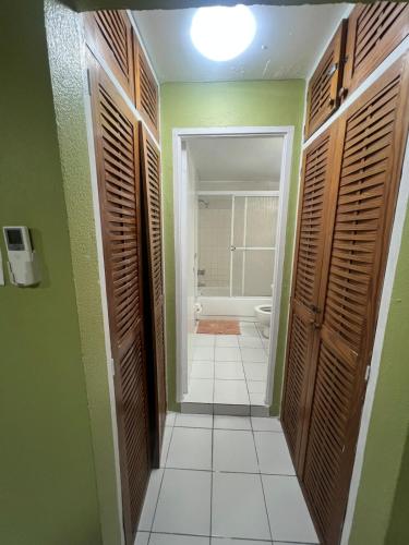 a bathroom with green walls and a bathroom with a toilet at Grand One Bedroom Studio Apt in Kingston
