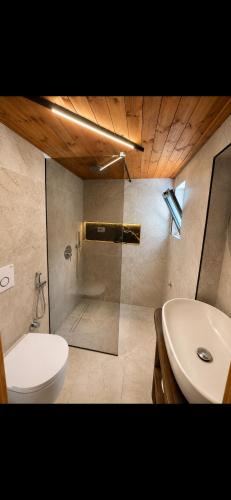 a bathroom with a shower and a toilet and a sink at Bujtina Lepushe Agroturizem in Lëpushë