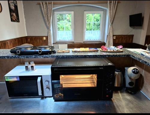 a kitchen with a microwave and a counter at Apartmán Kameňák in Stožec