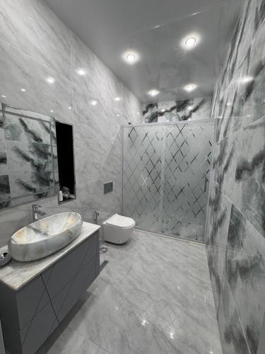 a bathroom with a sink and a toilet in it at Villa in Baku
