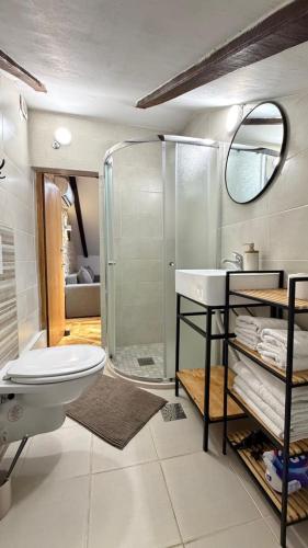 a bathroom with a shower and a toilet and a sink at Apartmani Kovačević in Kotor