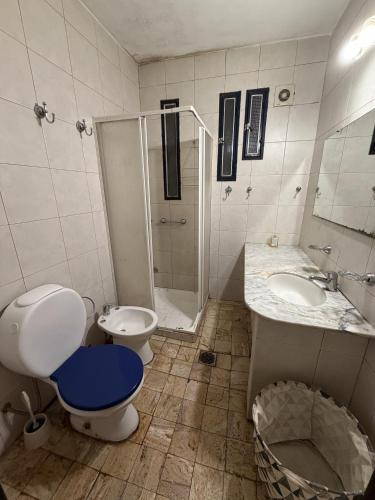 a bathroom with a toilet and a shower and a sink at CASA JUNTO AL RIO in Paraná