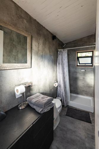 a bathroom with a sink and a toilet and a tub at Spectacular tiny house in an unforgettable setting in Ñilque
