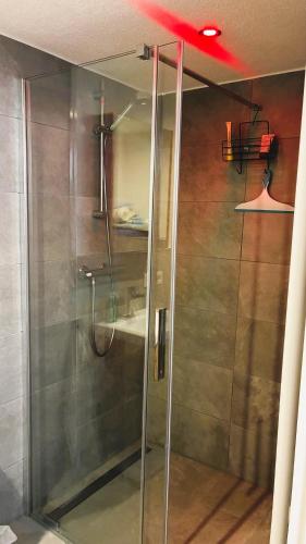a shower with a glass door in a bathroom at Ferienwohnung Hortwald am Schaumberg in Tholey