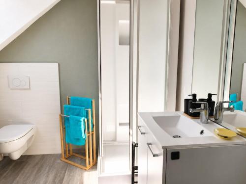 a bathroom with a sink and a toilet at Le Nid Dolois in Dole