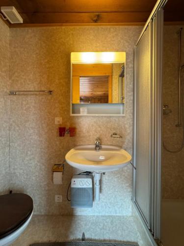 Tiny Chalet in Champéry 4 min Walk to Ski Lift & Train