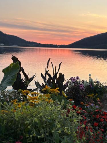 Rez-de-chaussée privatif pour 2 - Chalet Au fil de l'eau
