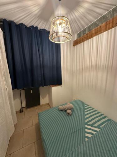 Appartement Le Petit Olivier