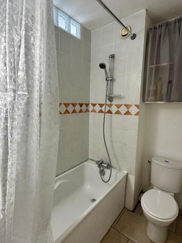Appartement Le Petit Olivier