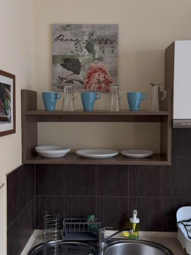 a kitchen counter with a sink and plates on a shelf at Barnaba Domki in Pobierowo