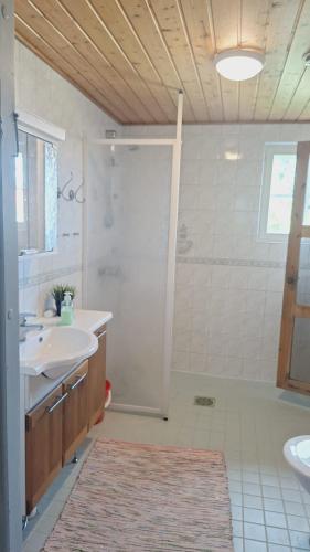 ein Badezimmer mit Waschbecken und Dusche in der Unterkunft Tyynelä in Juupajoki