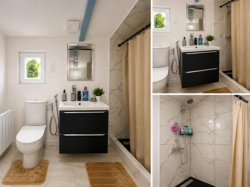 two pictures of a bathroom with a toilet and a sink at La Escapade Cubaine in Villeneuve-sur-Lot