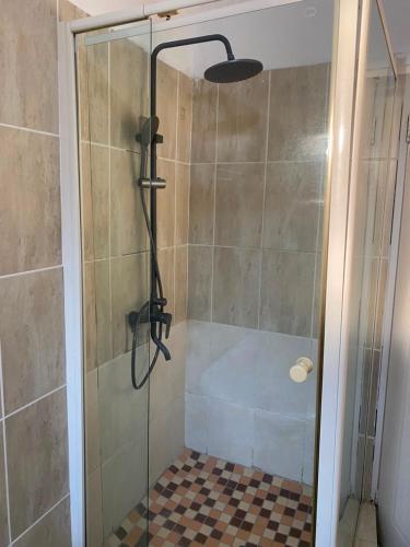 a shower with a glass door in a bathroom at Royal Inn Boutique Lodge in Gaborone